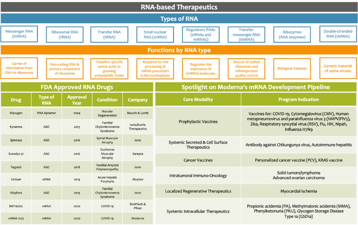 mrna infographic